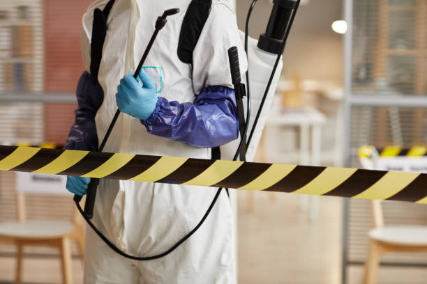 Professional Hoarding Cleanup technician working in Long Island, ME
